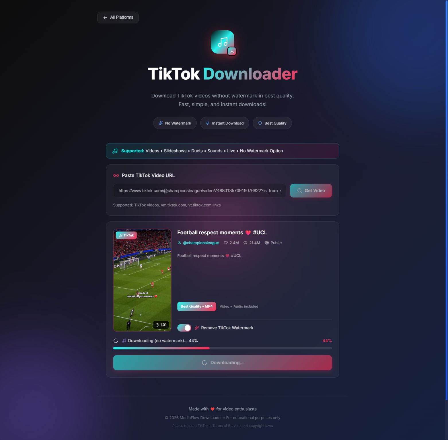 MediaFlow Screenshot 2